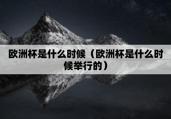 加时赛中埃德尔打入制胜一球帮助葡萄牙队1-0战胜法国队